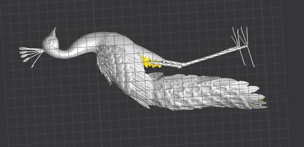 Peacock  Scanned by Creality Scanner Otter