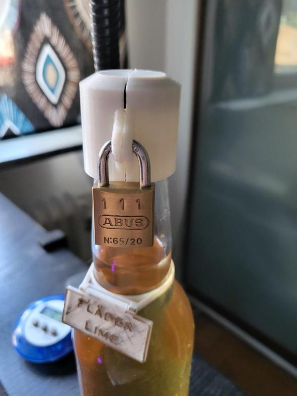 Bottle Lock
