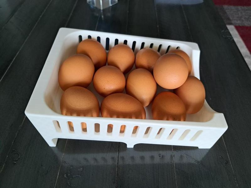 Egg Box