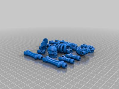 skeleton