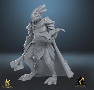 Dragonborn Paladin