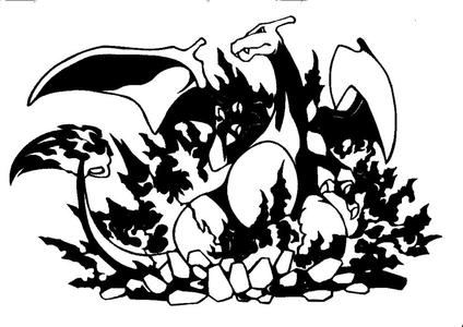 2D Charizard 2