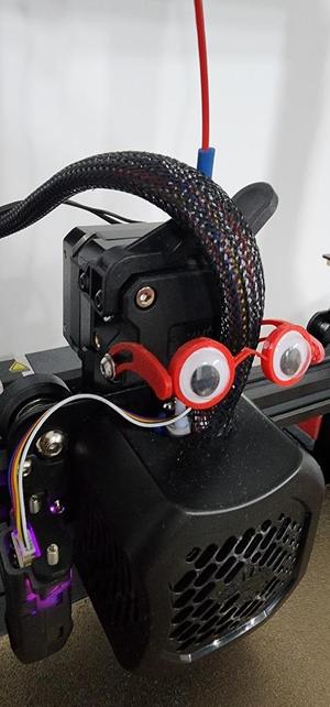 Goggly Eyes Glasses Ender 3