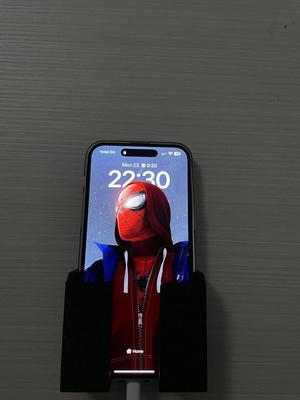 Mobile phone wall mount