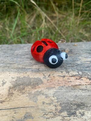 Ladybird