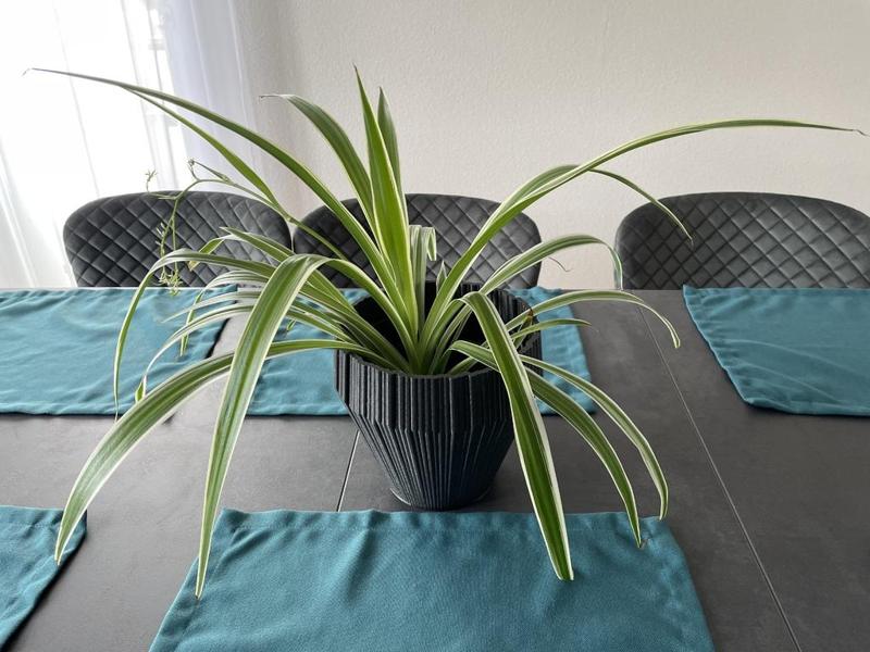 Parametric Finger Pot