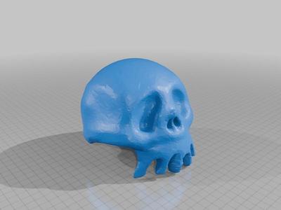 Haunted Mansion Holiday Skull 