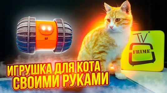 electric cat toy