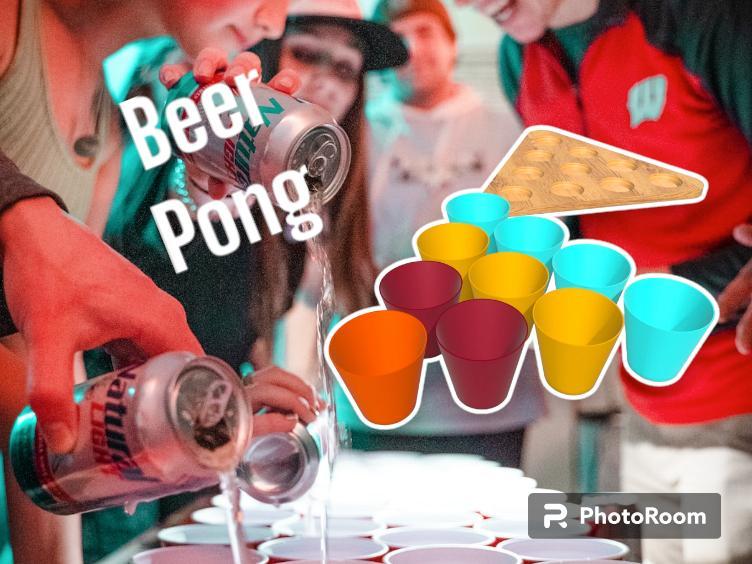 Offical Beer Pong Set