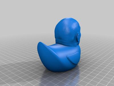 Dwayne The Duck Johnson