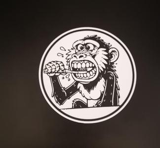 Monkey brushing teeth coaster