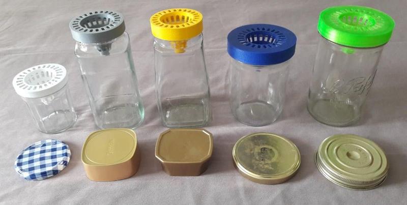 Piege frelon asiatique