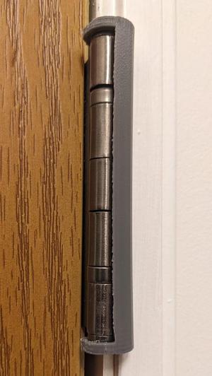 Door Hinge Pin Support