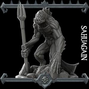 Sahuagain