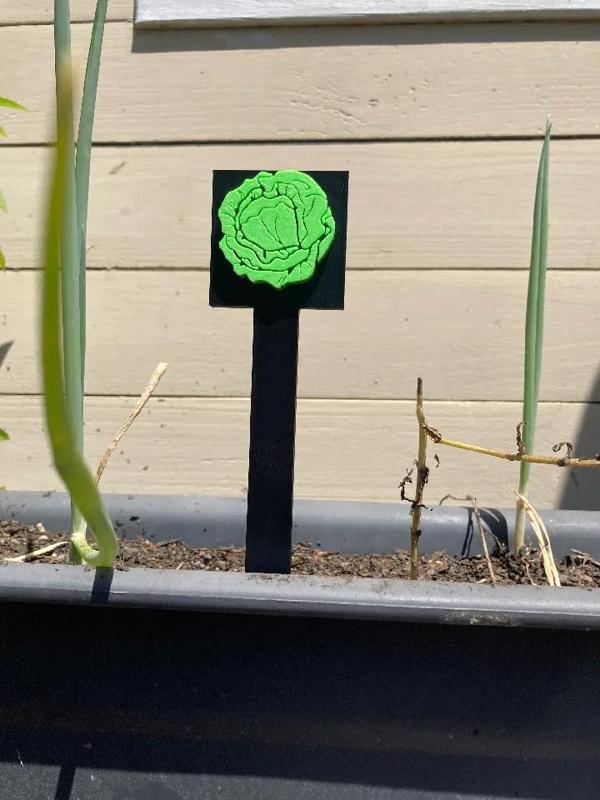 Garden Lettuce Sign   