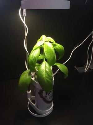 Grow Light Holder 2