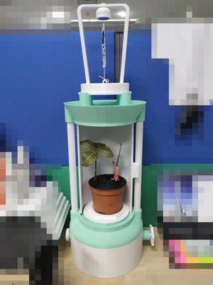 Office Plant Container 