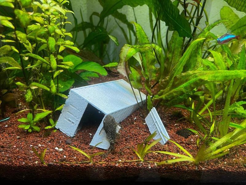 Fish tank Container 
