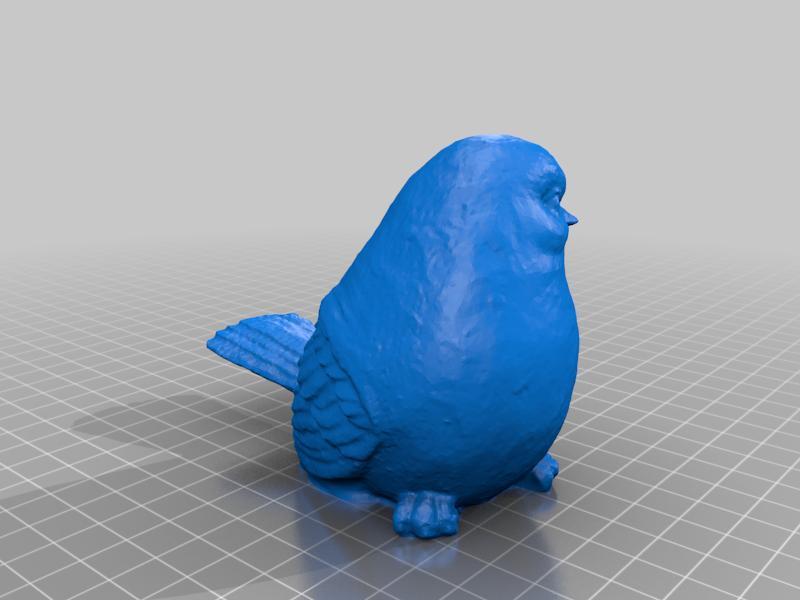 Birds 