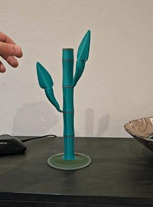 Lucky Bamboo Key Cover and Holder