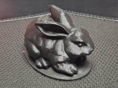 Bunny model