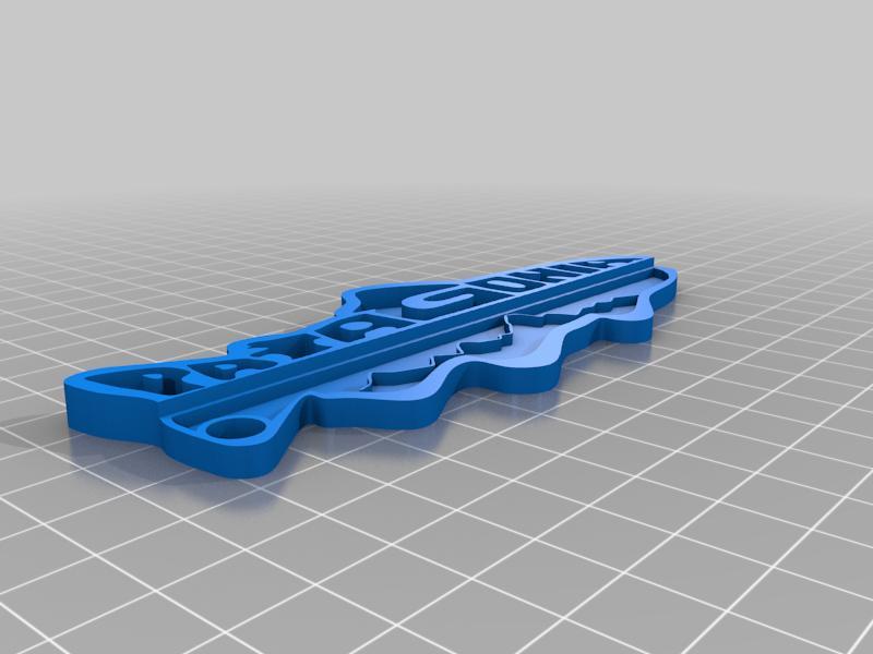 Patagonia Fish Keychain