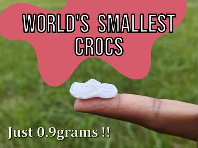 World's Smallest Crocs - Less than 0.9 grams