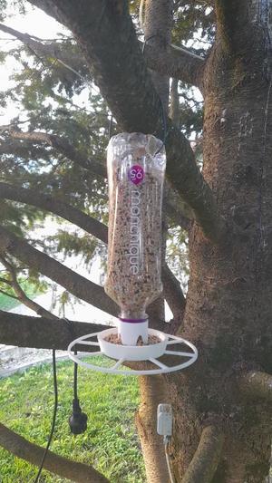 BirdFeeder for bottle screw