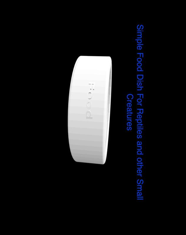 Simple Reptile Food Dish