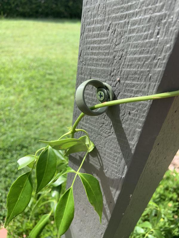 cllimbing vine clip.stl