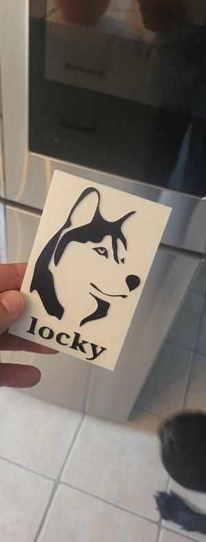 Husky fridge magnet (LOCKY)