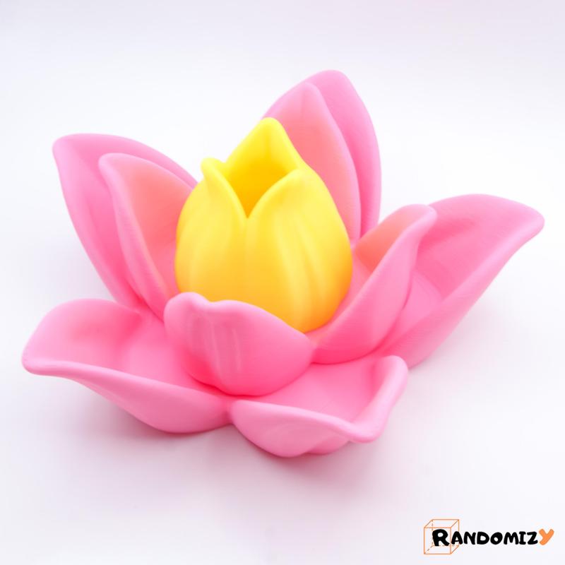 (Multifunctional) Lotus Flower