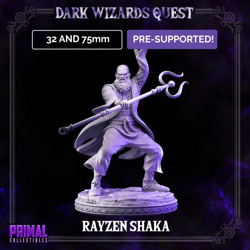 Storm Master - Rayzen Shaka - DARK WIZARDS - MASTERS OF DUNGEONS QUEST