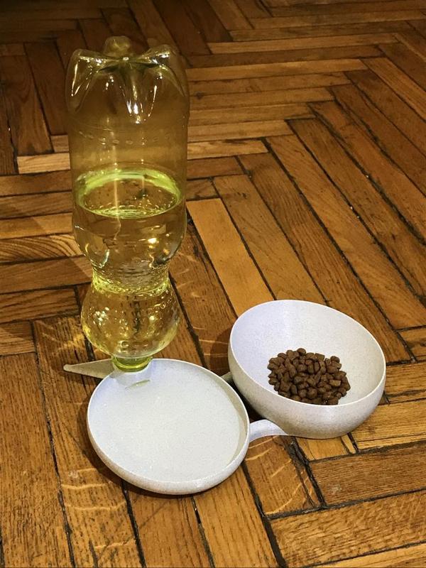 Pet (cat, or any other small animal) water + food dishes 