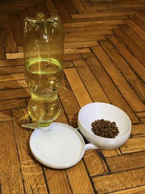 Pet (cat, or any other small animal) water + food dishes 