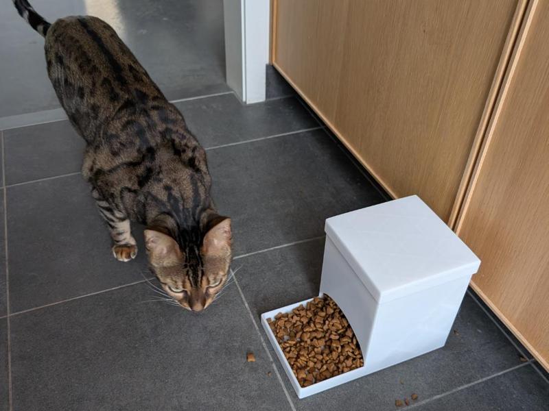 Pet Feeder intended for cats