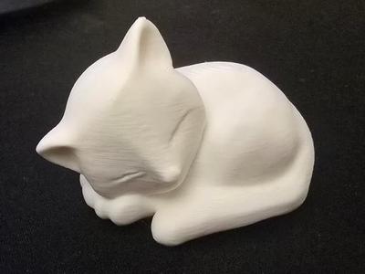 Cute sleeping cat
