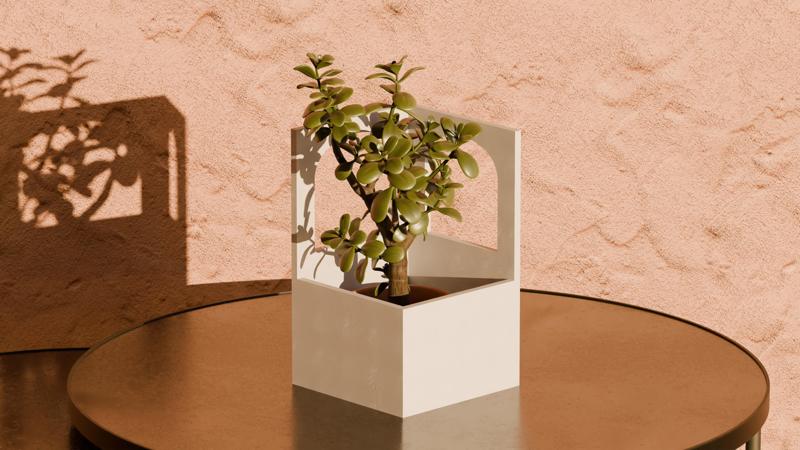 Windowed Nook Pot Plant - Home Decoration