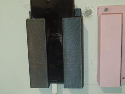 Wall mounted phone case