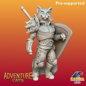 Paladin Cat
