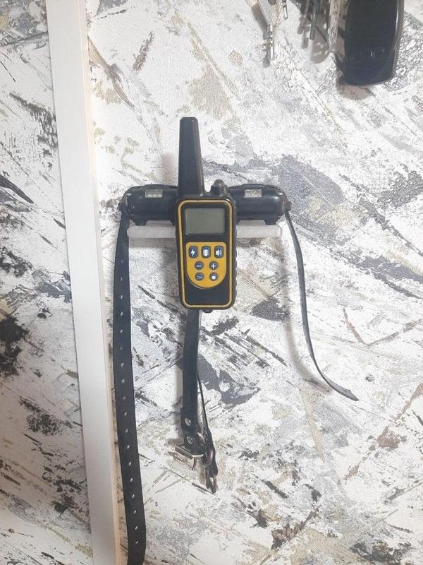 Dog electric collar holder