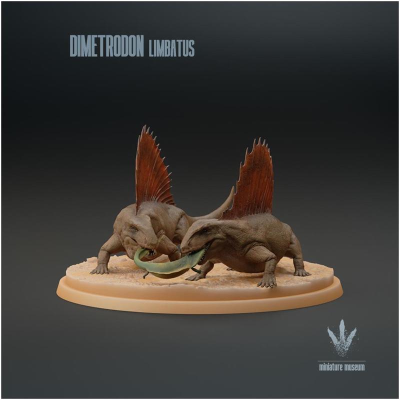 Dimetrodon limbatus : Hunting