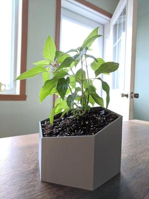 Poly Flower Pot