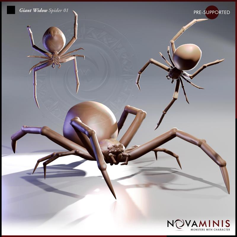 Giant Widow Spider 01