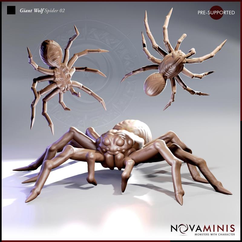 Giant Wolf Spider 02
