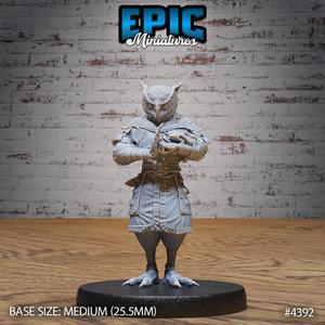 Owl Folk Monk Pray ‧ DnD Miniature ‧ Tabletop Miniatures ‧ Gaming Monster ‧ 3D Model ‧ RPG ‧ DnDminis ‧ STL FILE