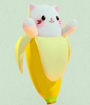 banana kitty