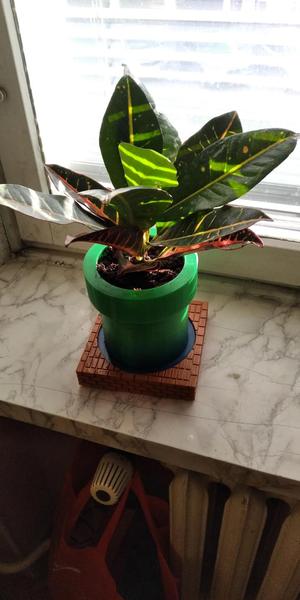 Super Mario Tube Planter