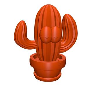Hidden storage container plant cactus