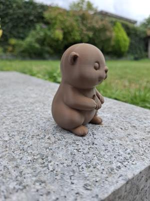 Otterly Cute